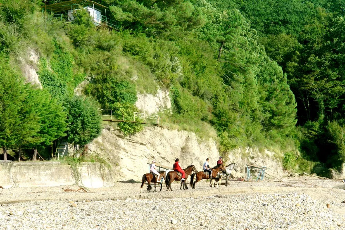 База отдыха Золотая бухта