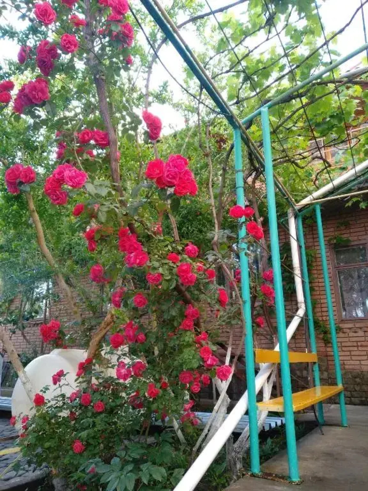 Гостевой дом Ясин