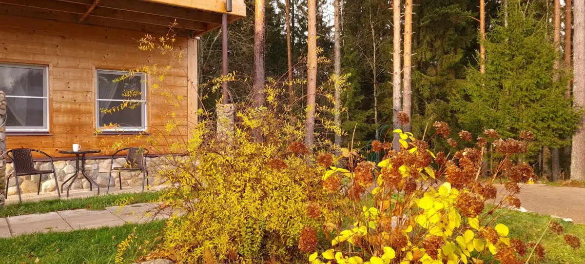 Апартаменты Валдай Пространство мечты 3