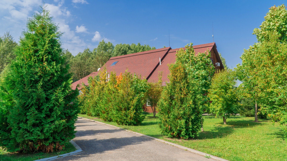 База отдыха Вольские Дачи