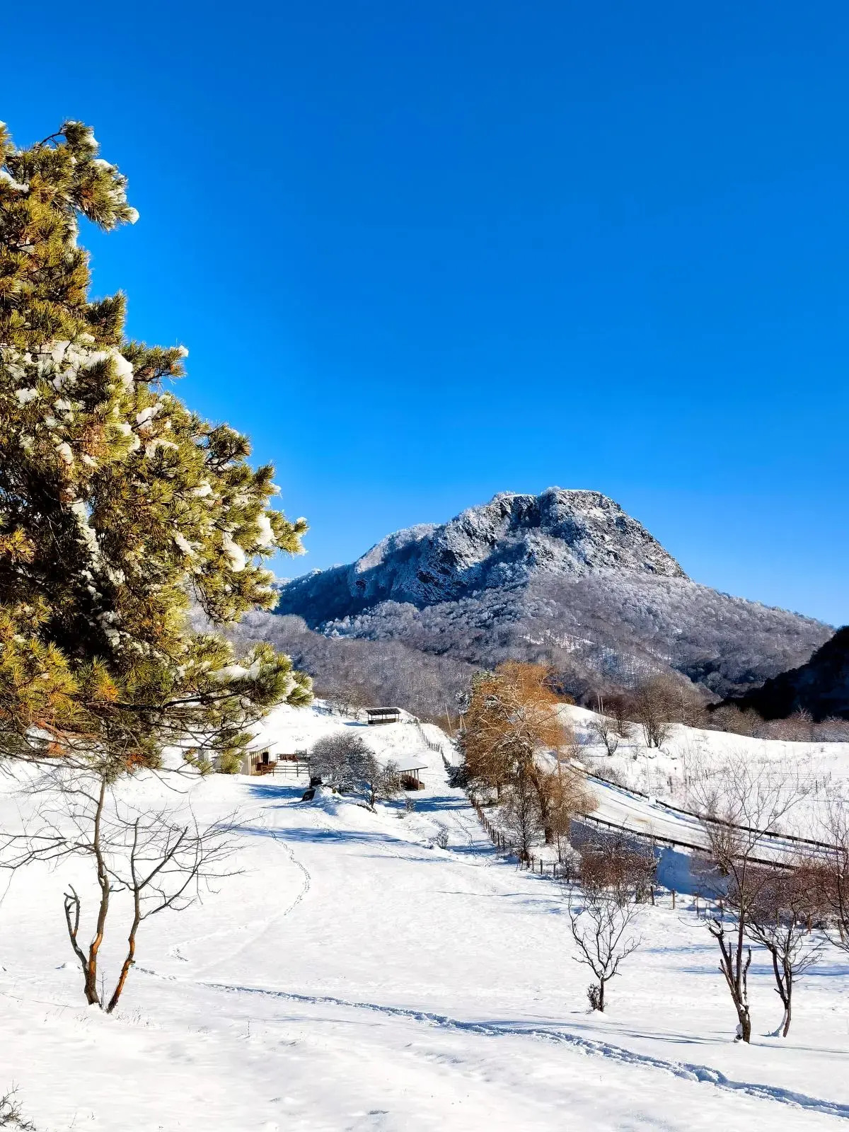 Гостевой дом Aydin El