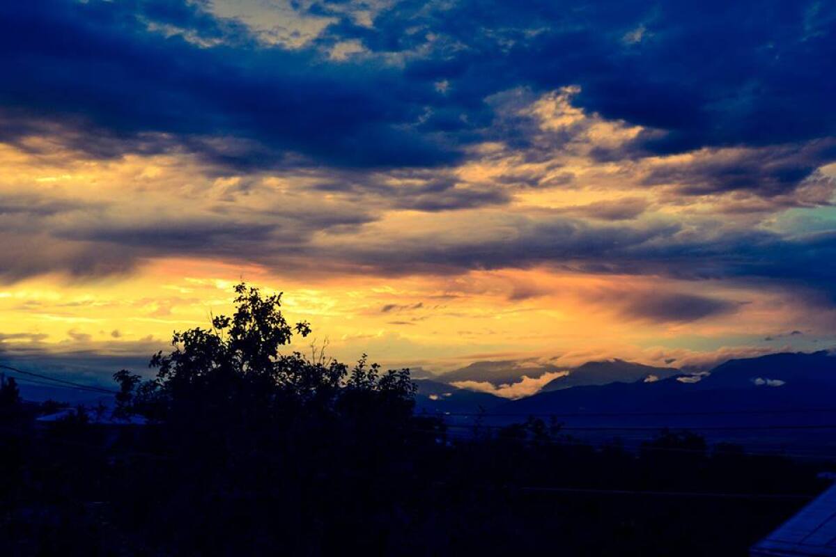 Гостевой Дом Green House Telavi