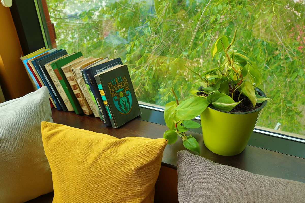 Отель Маданур