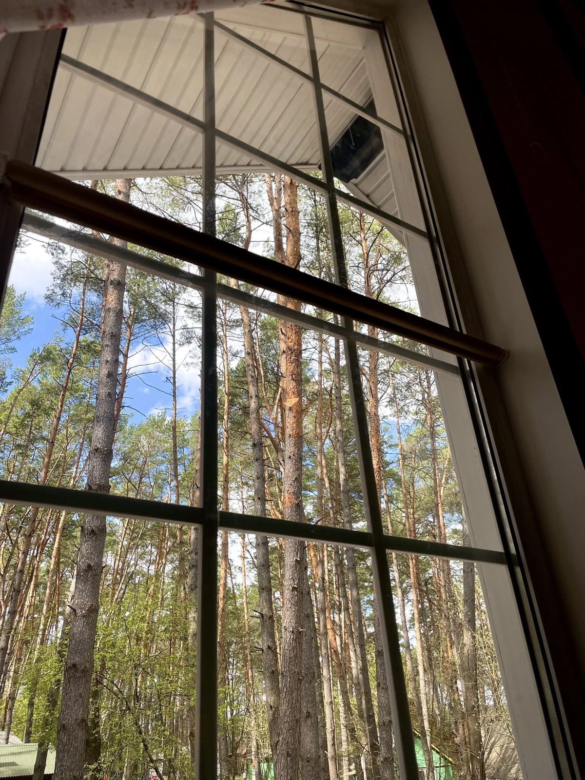 Частный Дом Бревенчатый Дом в Соснах