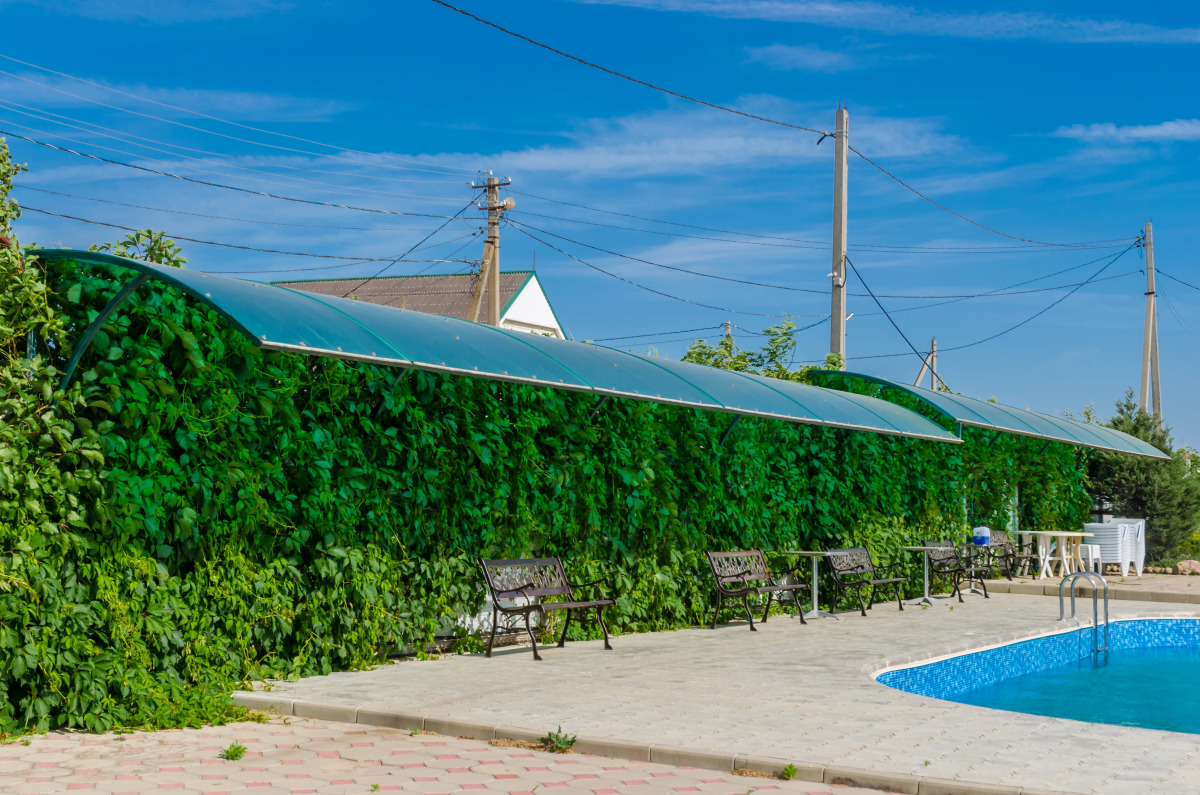 Гостевой Дом Гелиос