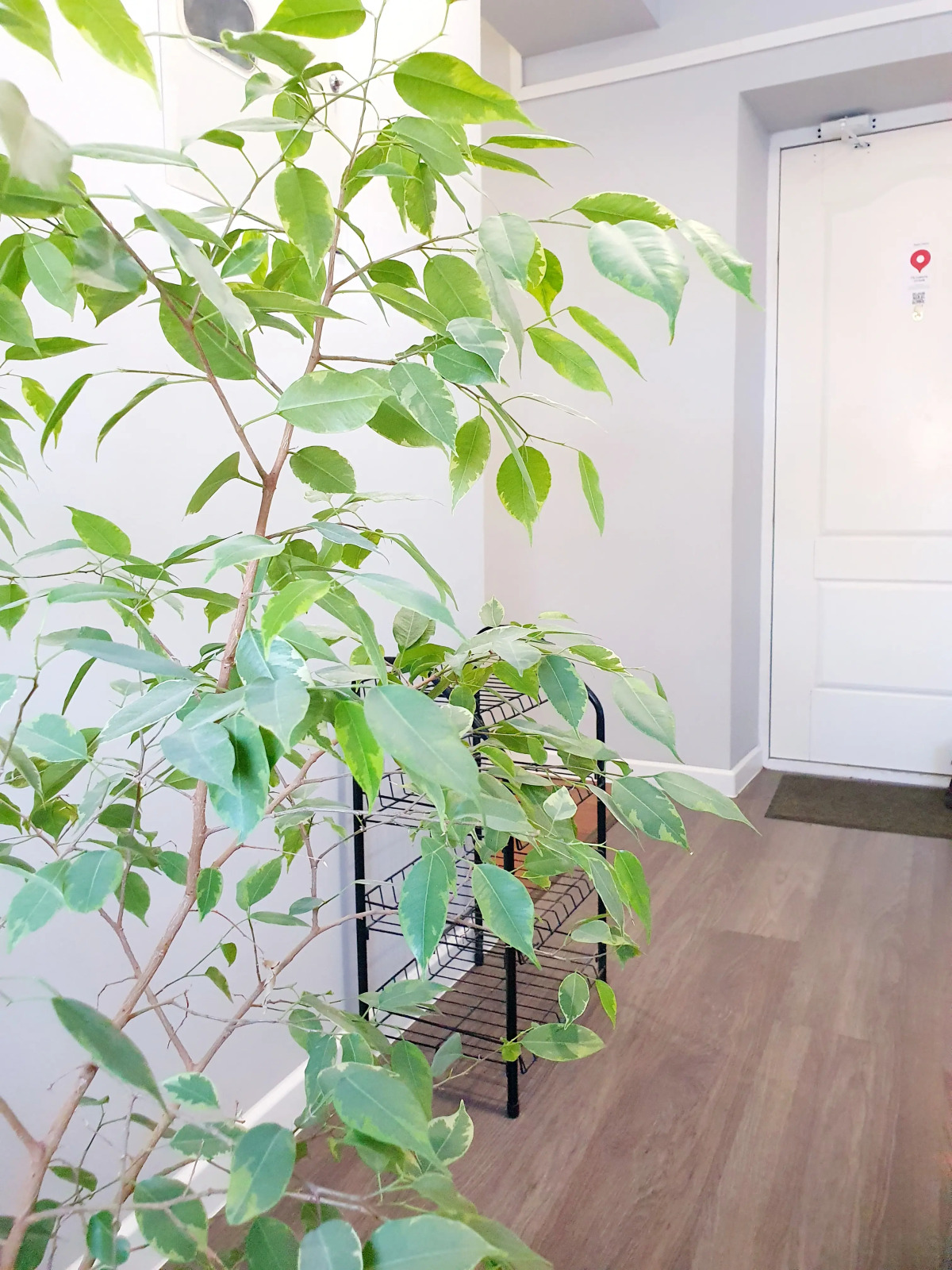 Апартаменты Welcomerooms 2