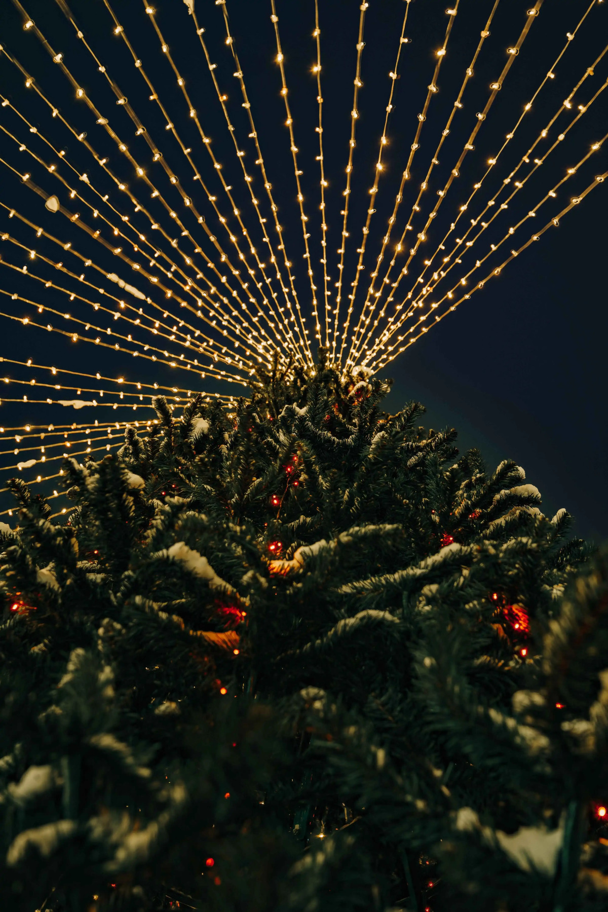 Русские Сезоны Эко Отель Пересвет