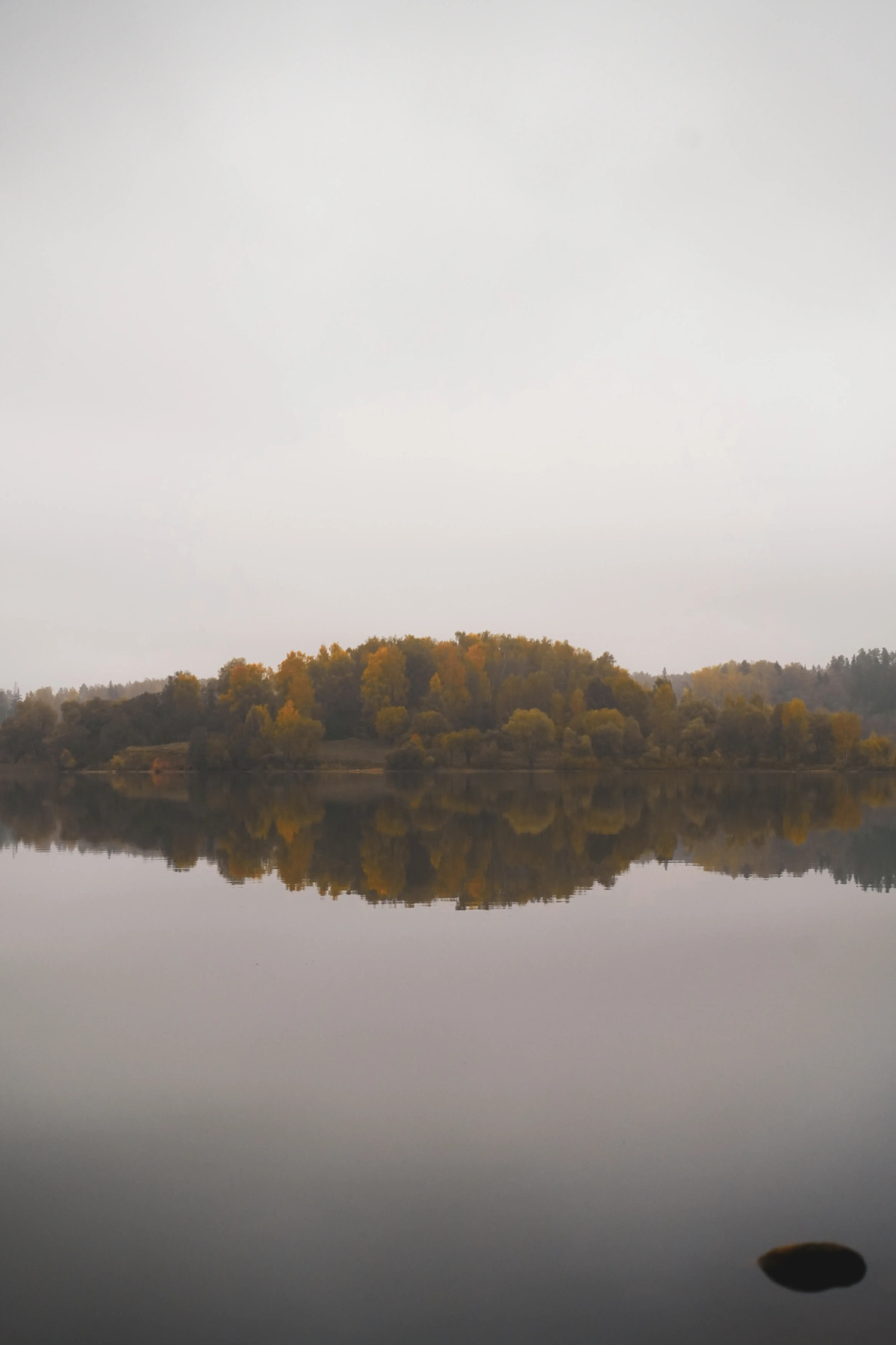 Глэмпинг Ruza River Club