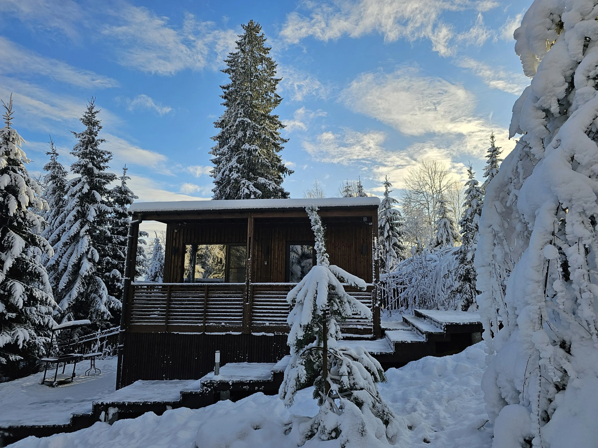 Коттедж Черничный Склон Wood House