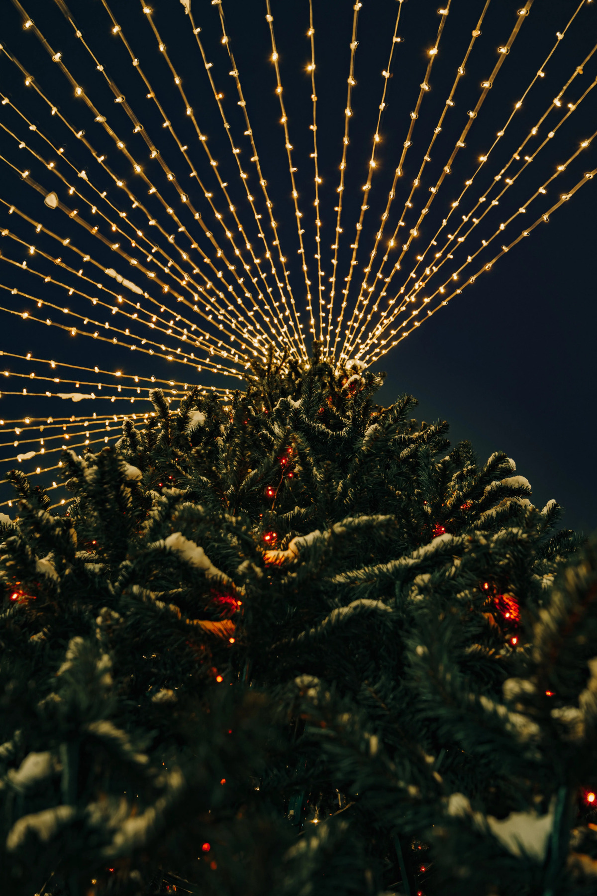 Русские Сезоны Апарт отель Пересвет