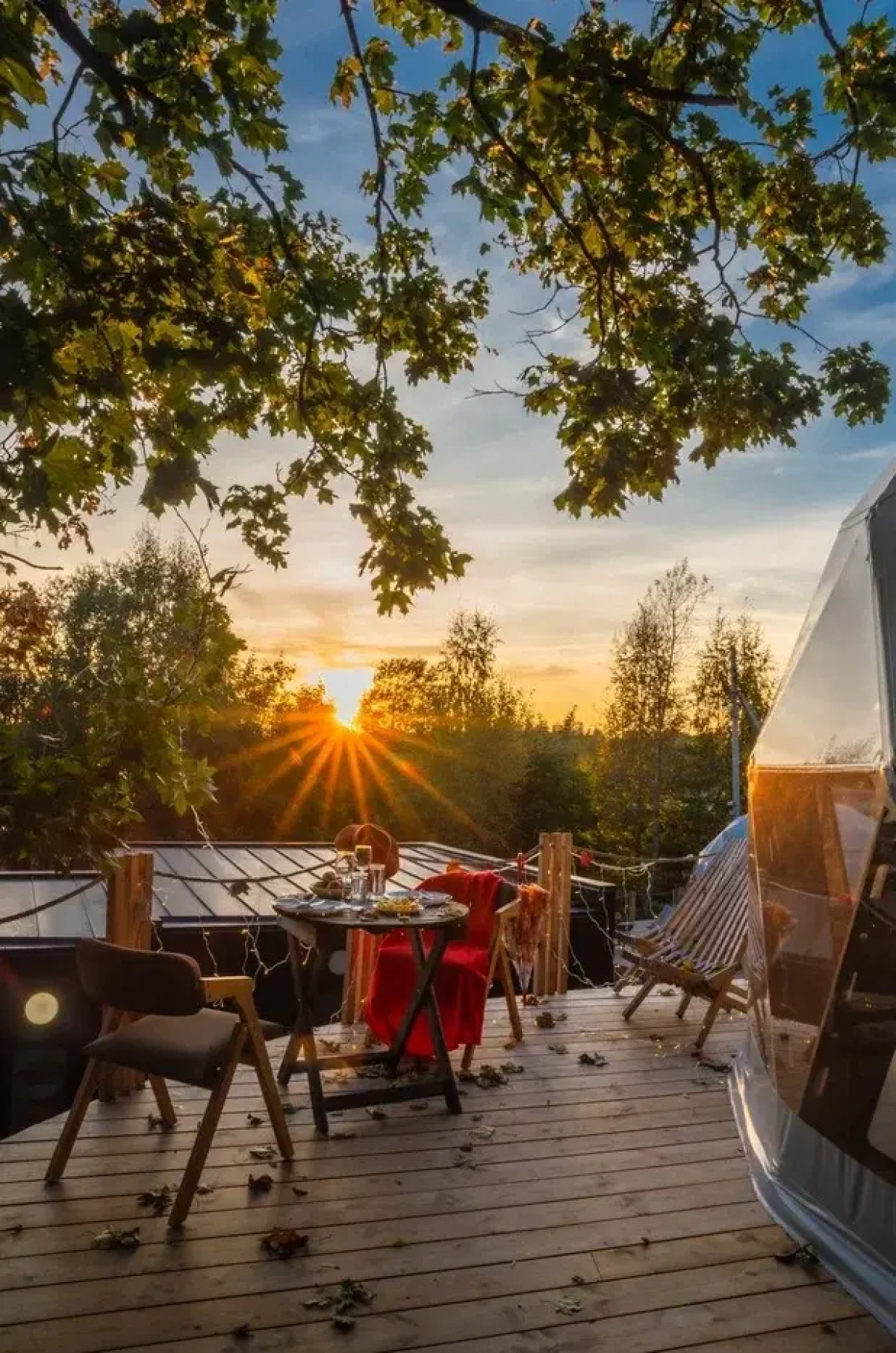 Глэмпинг Выборг Бэй