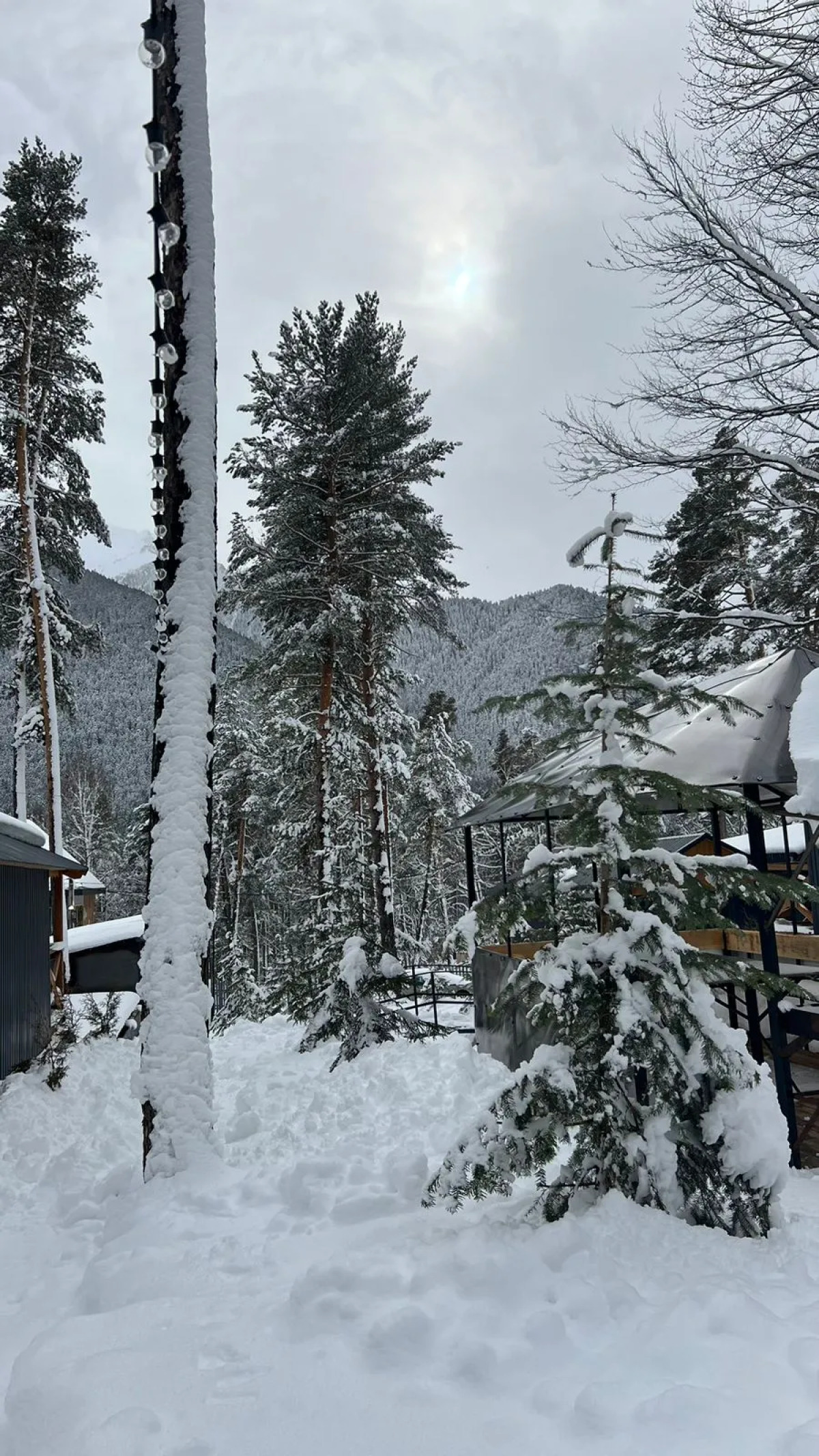 База отдыха Сосновка