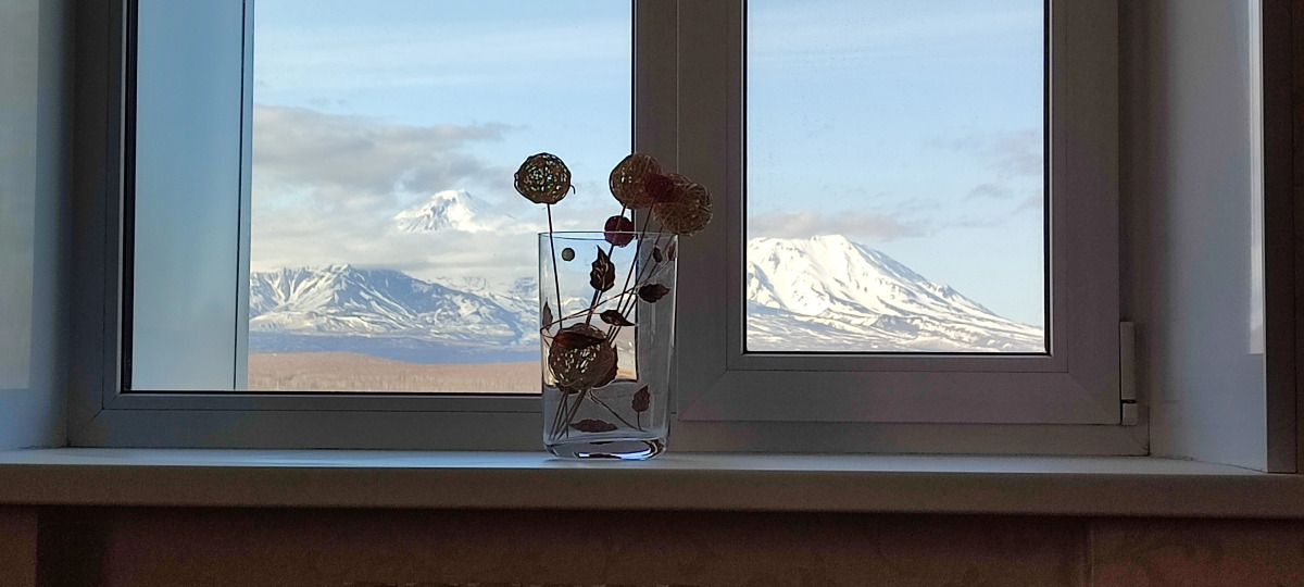 Квартира Уютная с видом на вулканы