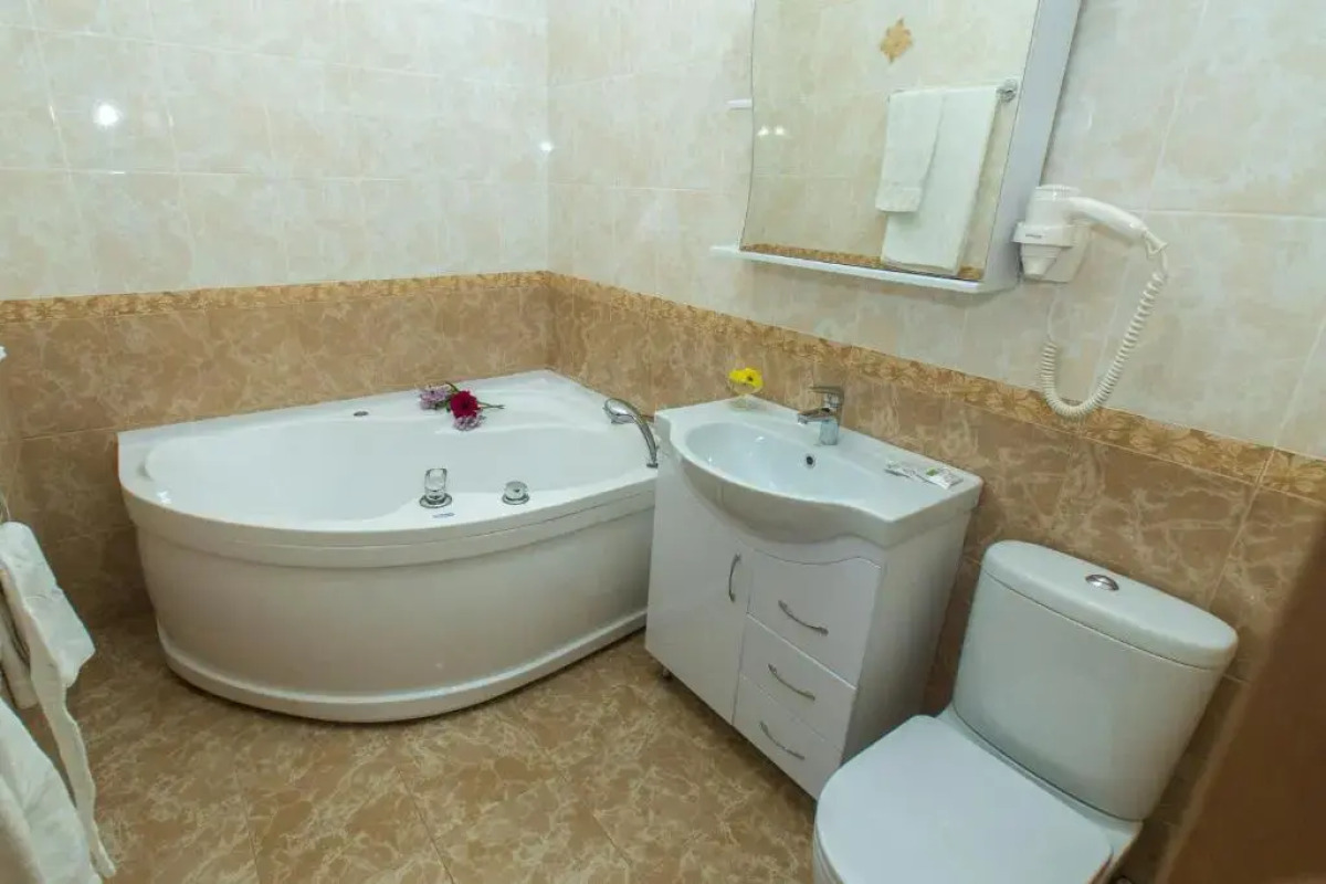 Отель Виноград