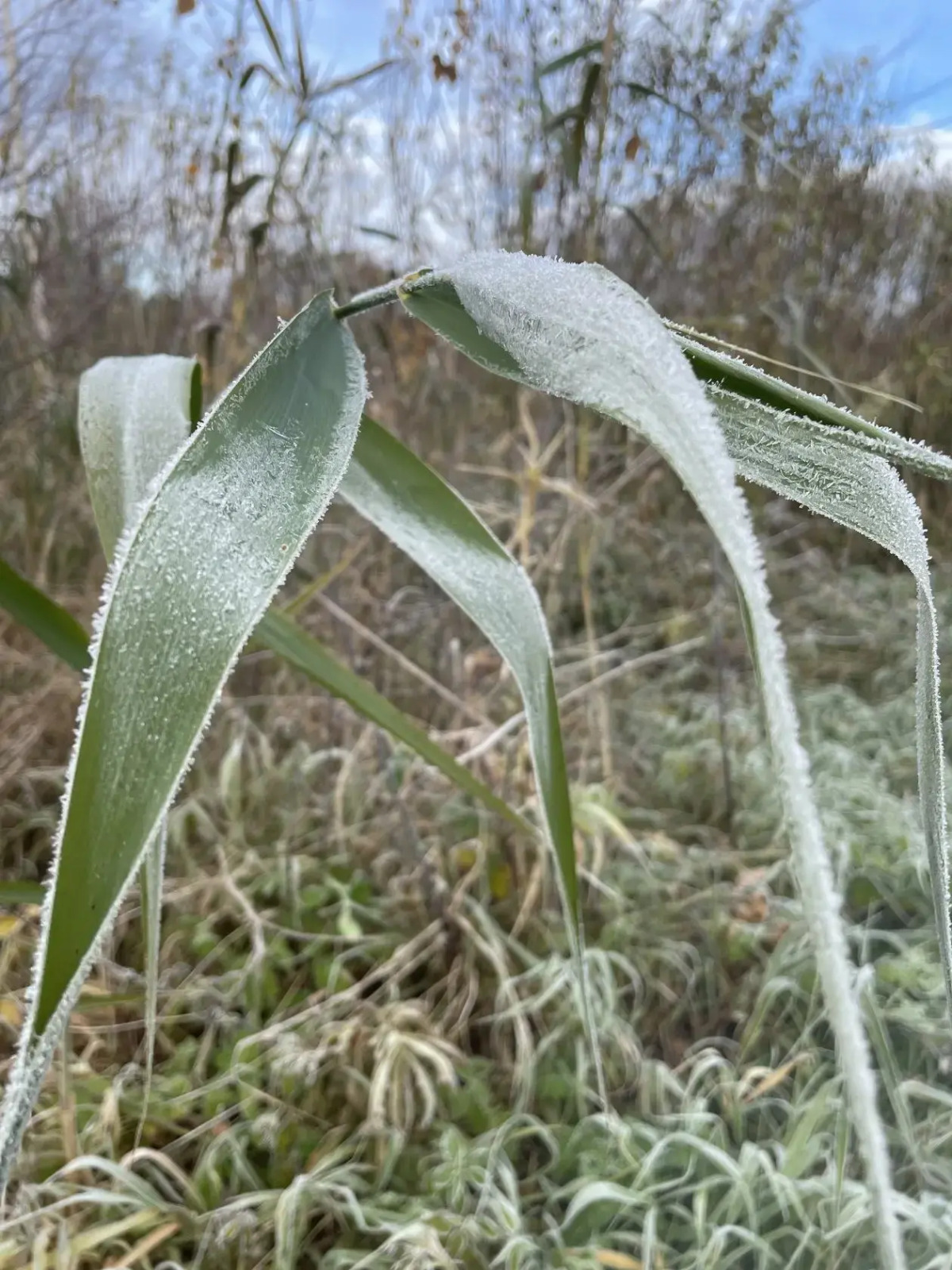 Гостевой дом Моя Провинция