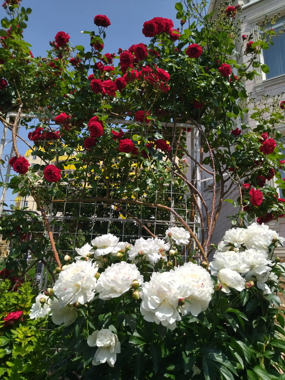 Гостевой Дом Елена