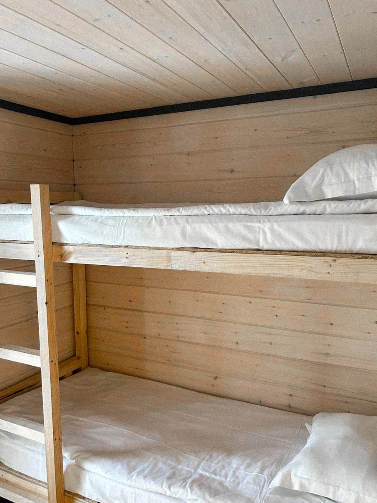 Гостевой Дом Брусника № 1