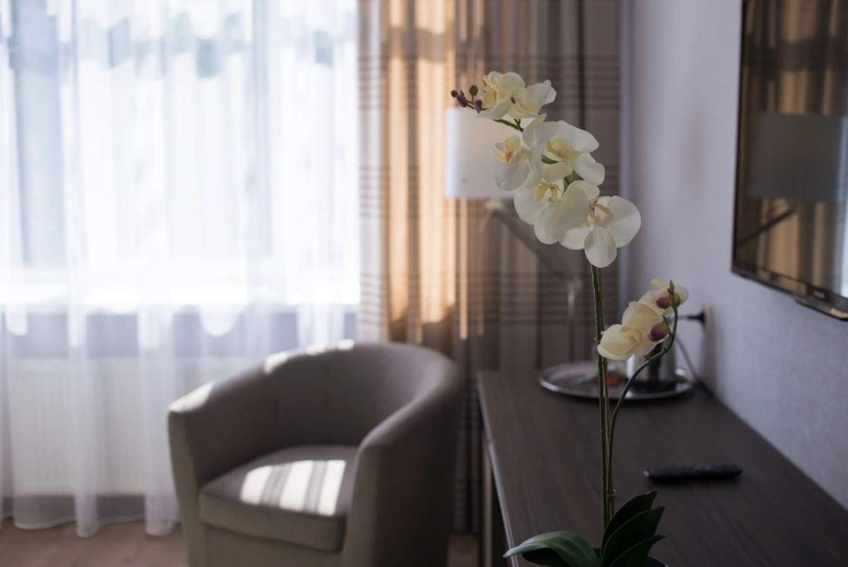 Отель Силуэт