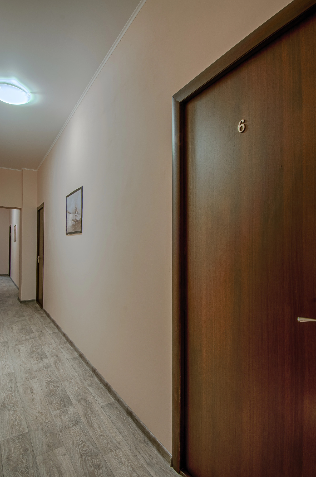 Базилик Чаплыгин