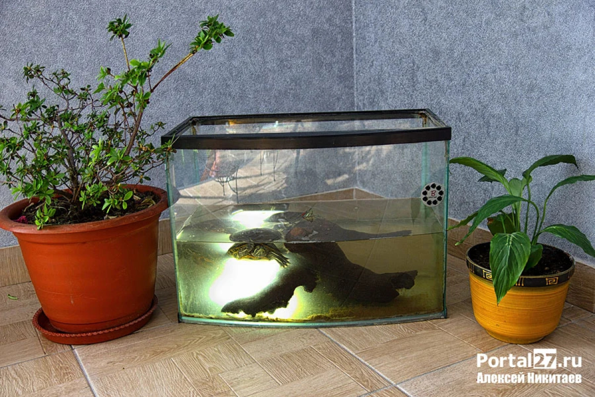 Мини-отель Оазис