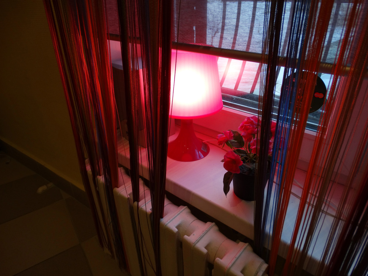 Хостел Pioneer