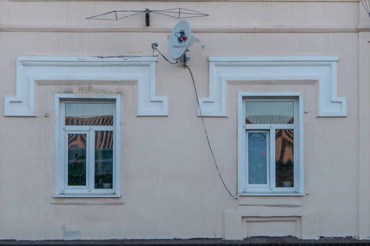 Базилик Чаплыгин