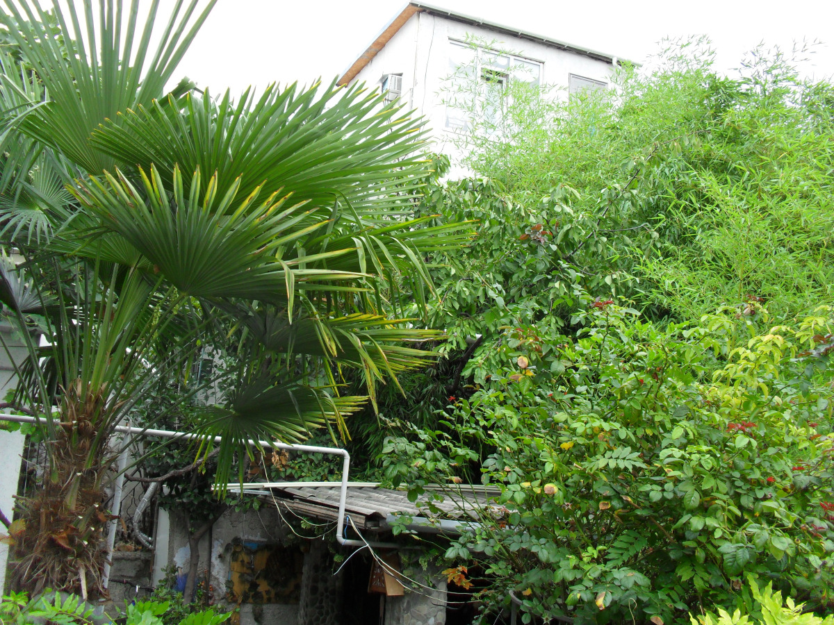 Гостевой дом Волна