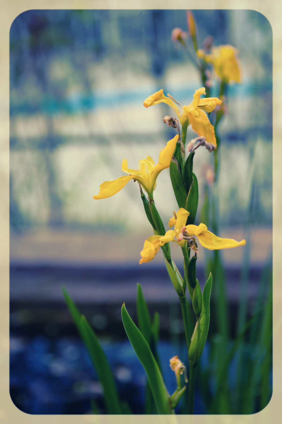 Отель Prohlada Breeze