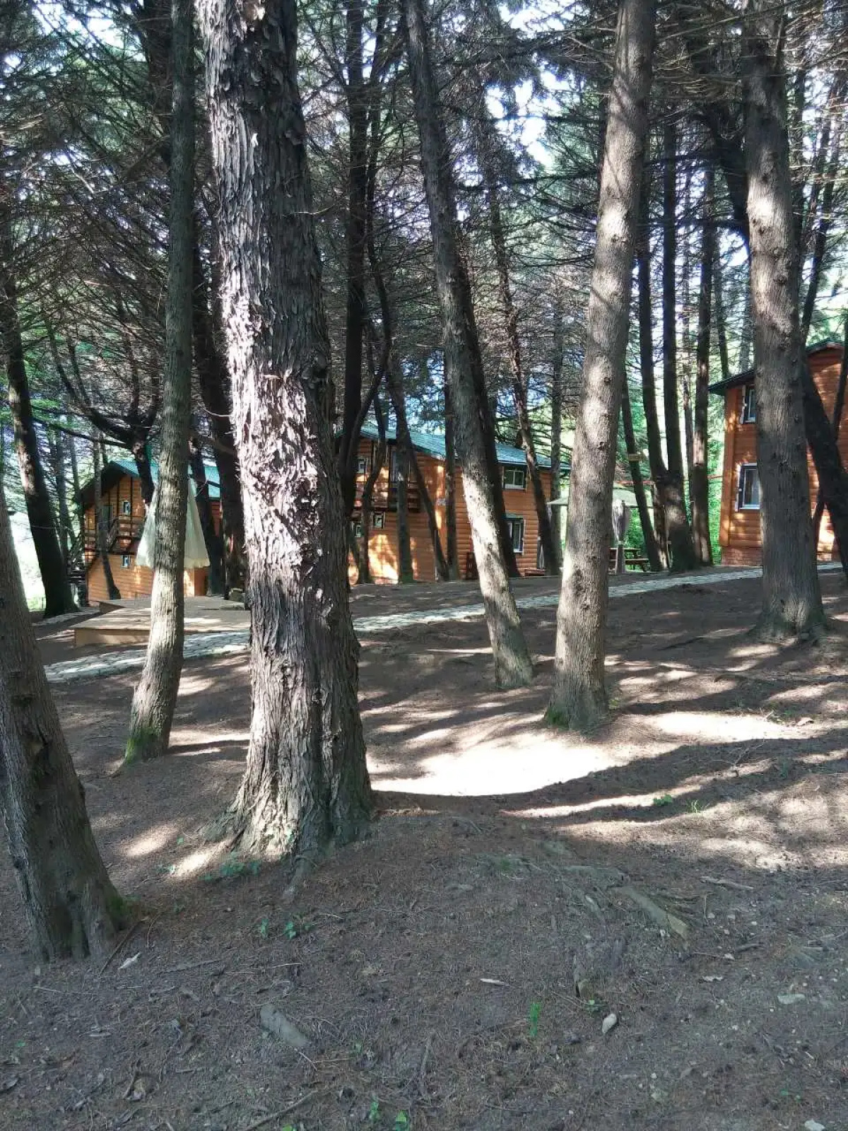 Отель Кипарисовая Усадьба