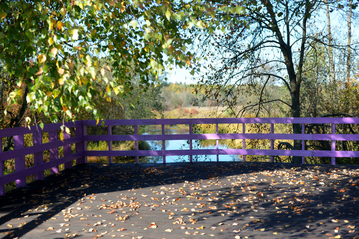 База Отдыха Кава