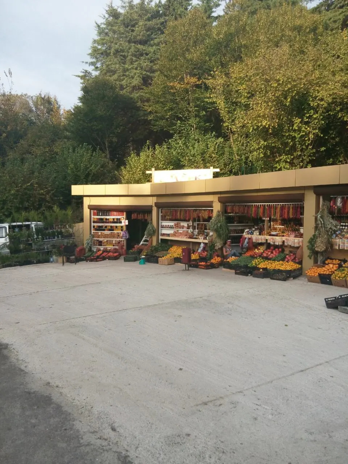 Отель Кипарисовая Усадьба