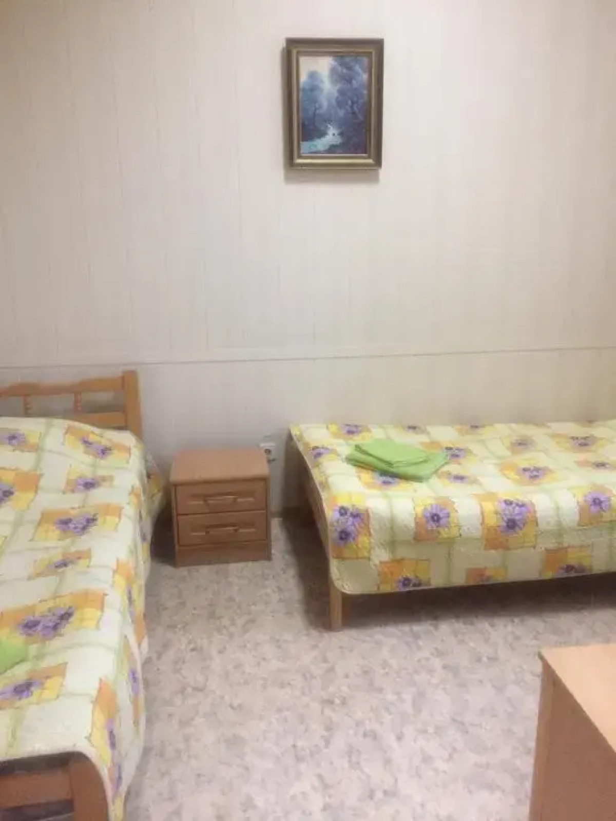 Отель Ариэль-Д