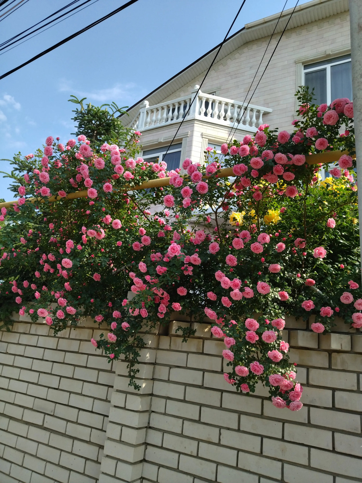 Гостевой Дом Елена