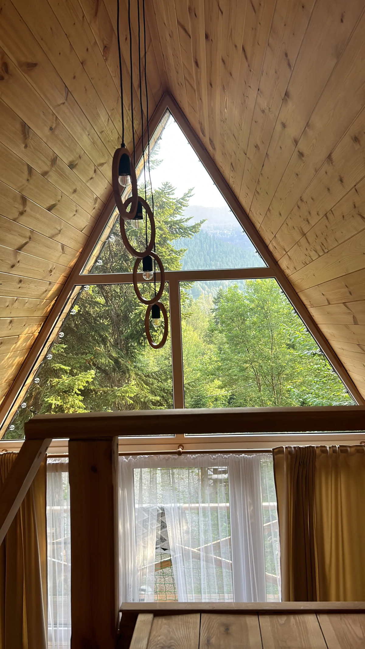 Счастливый лось