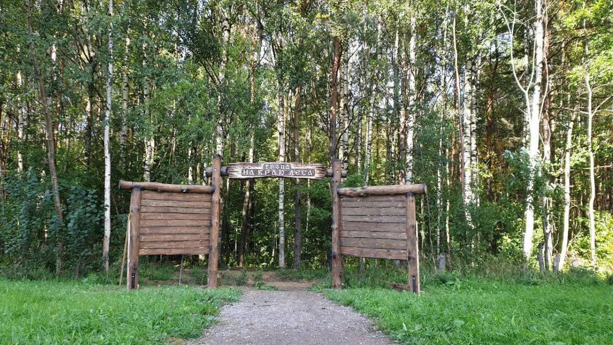 Апартаменты  ЖК Ясно Янино