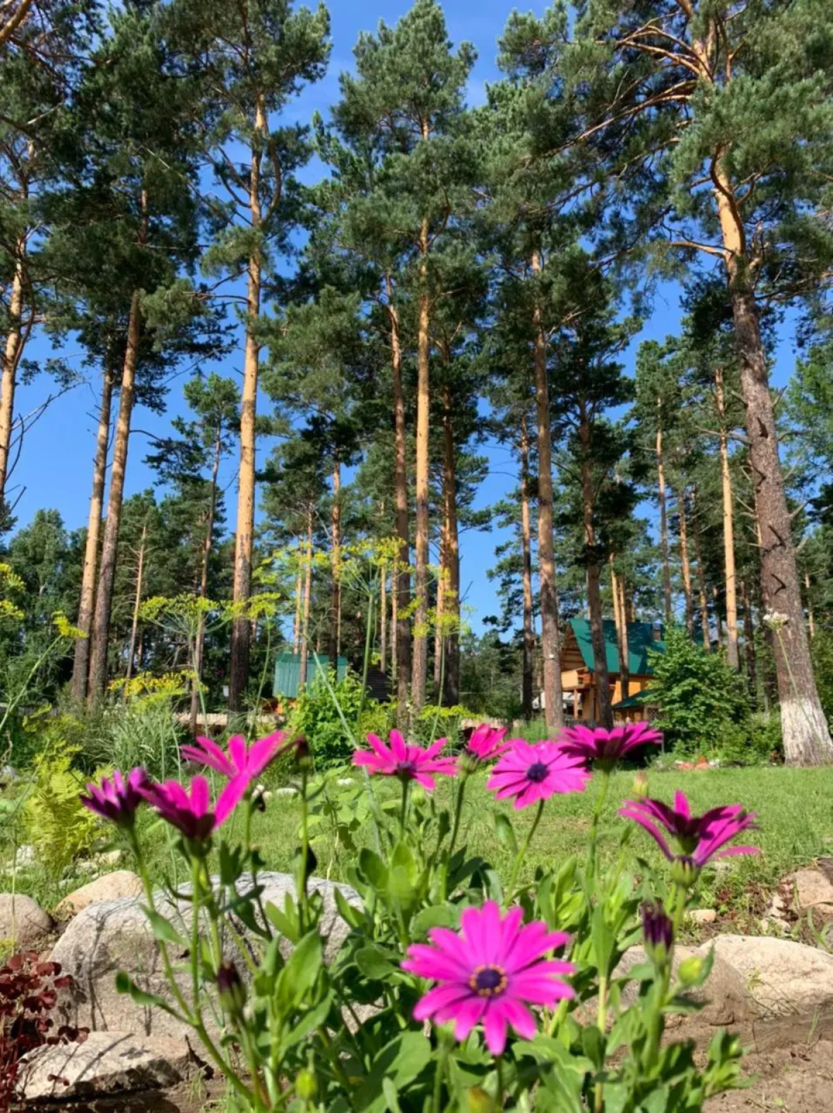 Мини-отель Подснежник