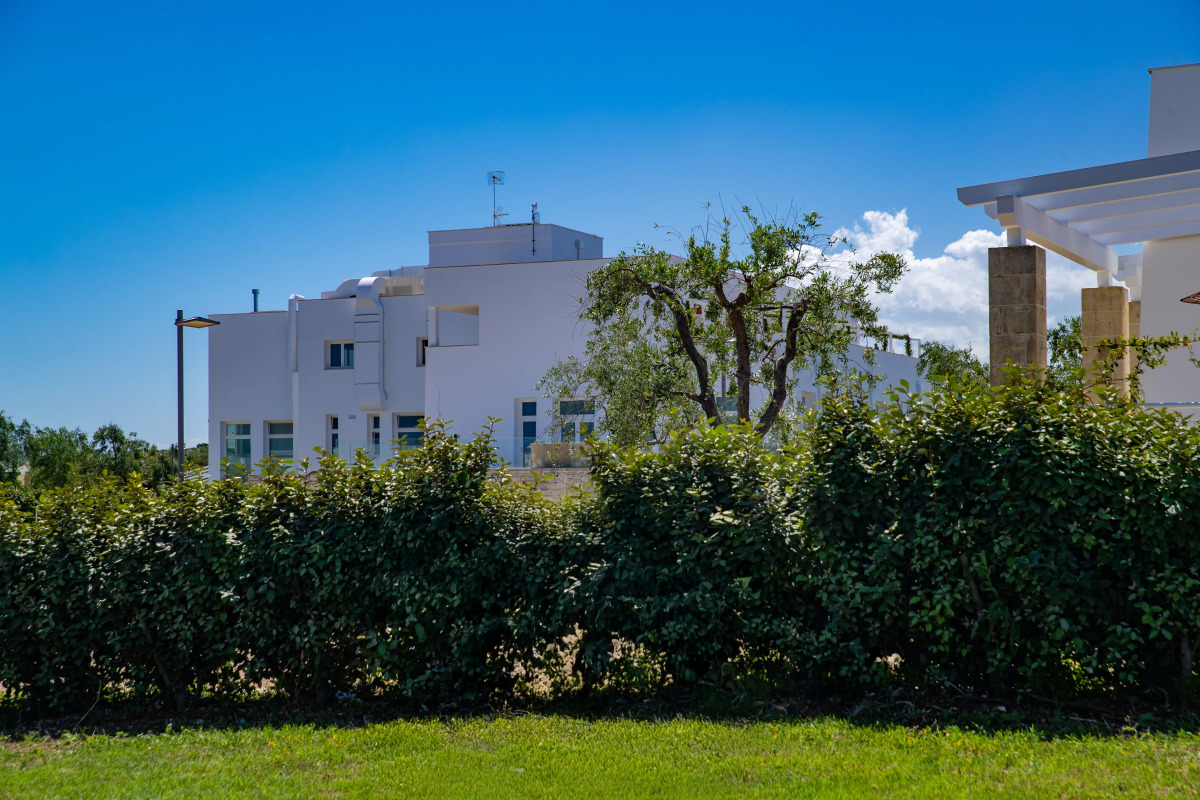 Отель CALA PONTE A TRIBUTE PORTFOLIO