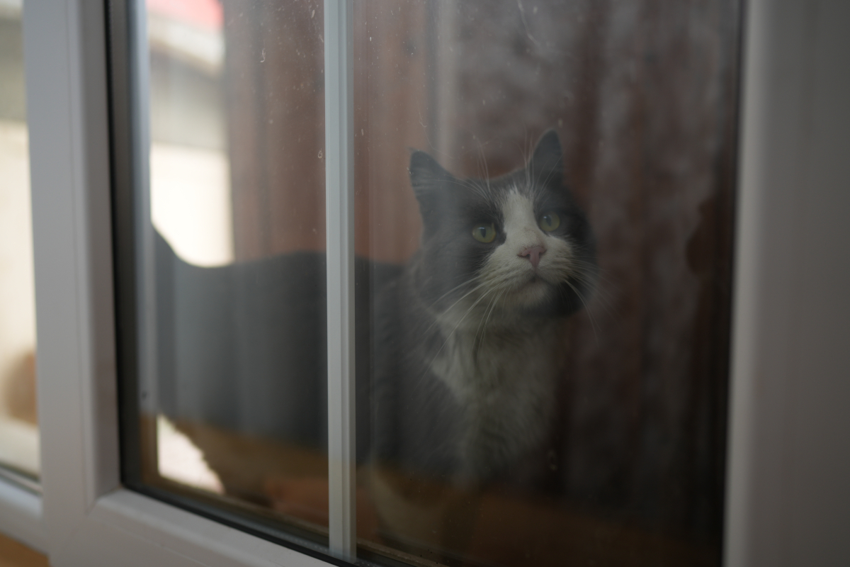 Апарт-отель Castle Gyumri