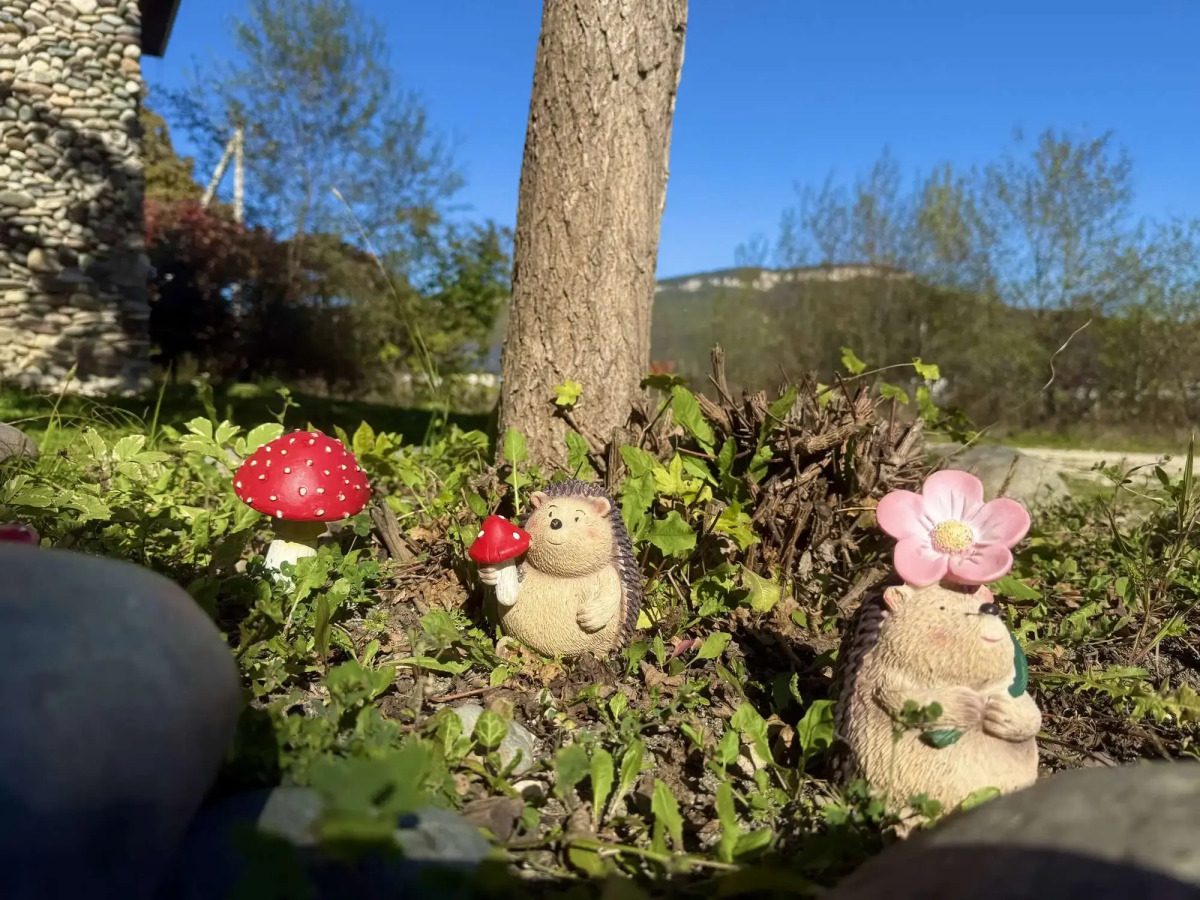 Thach from Travel Hotels Entourage