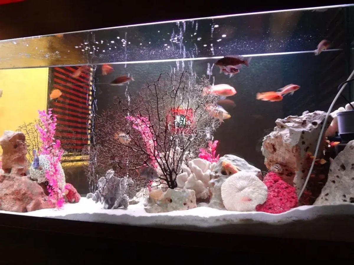 Бутик-Отель Weekend