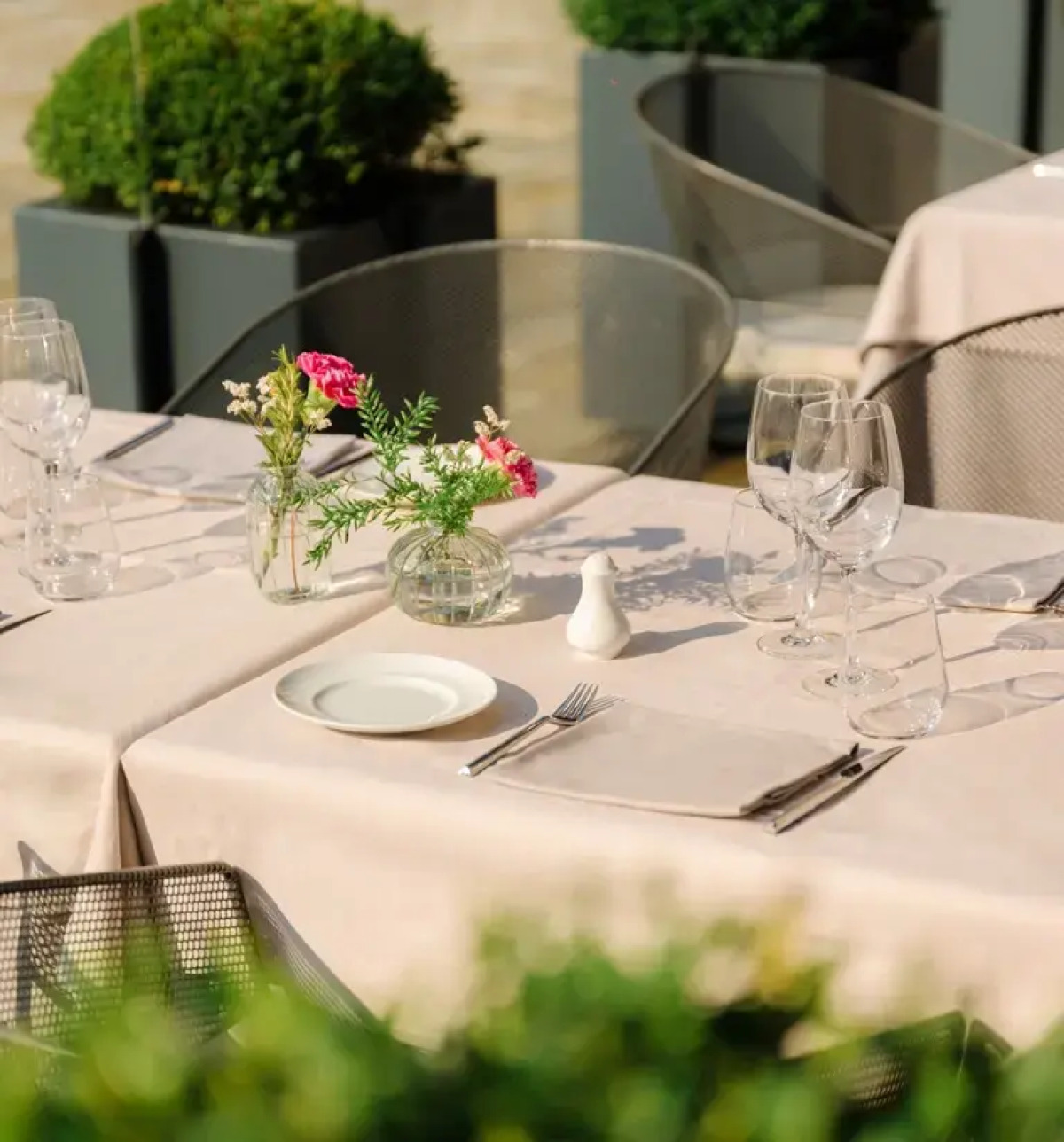 Отель Barchetta Excelsior