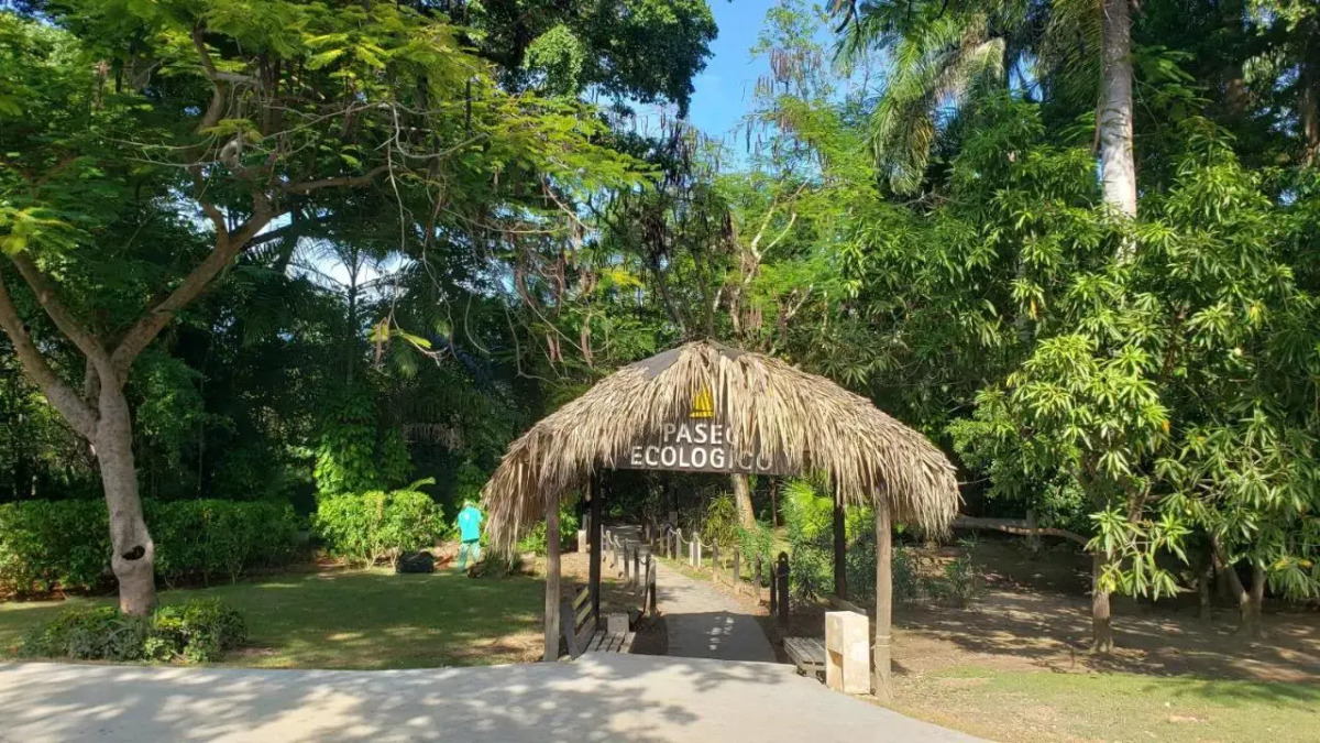 Курортный отель Grand Bavaro Princess - All Inclusive