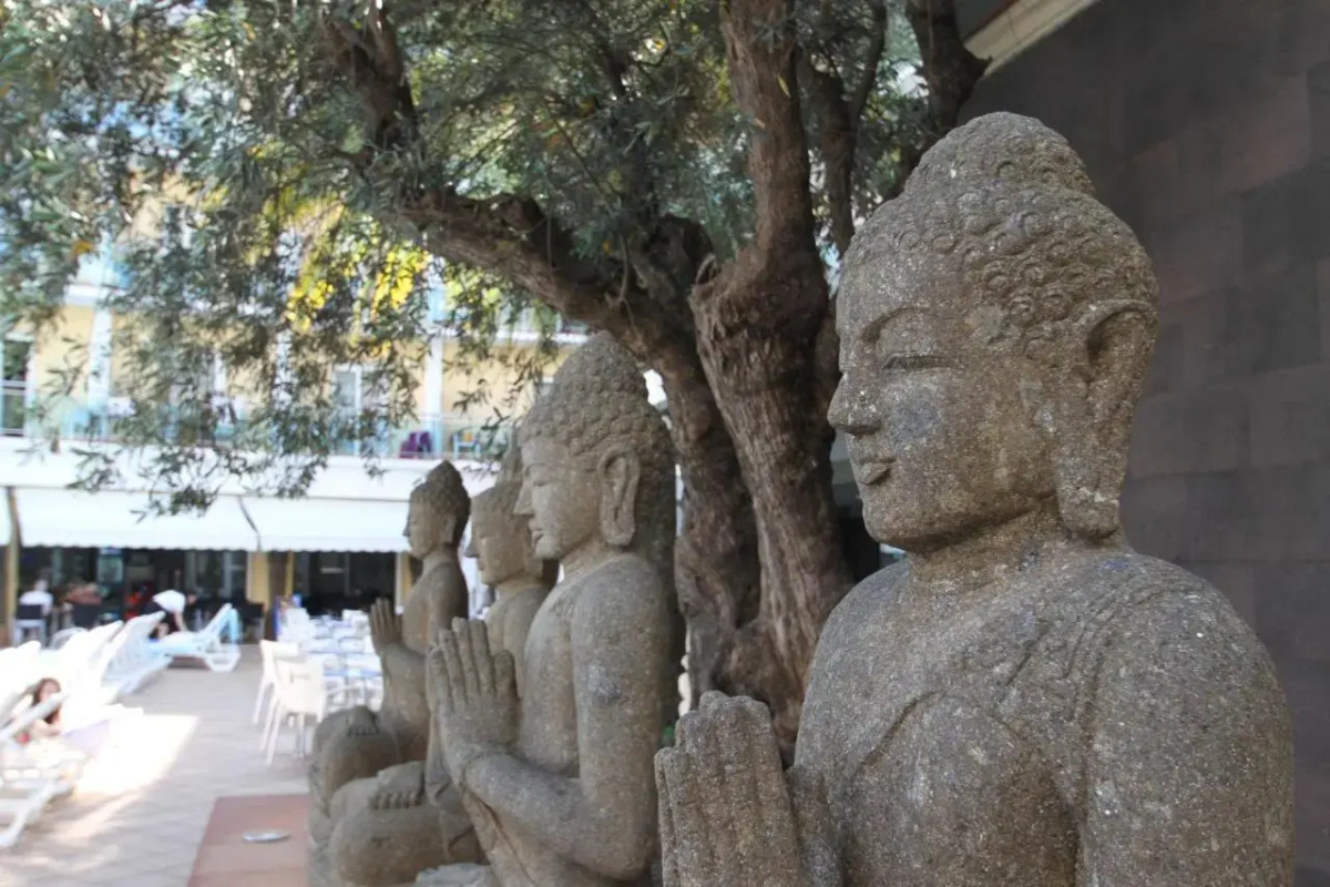 Отель La Palmera & Spa