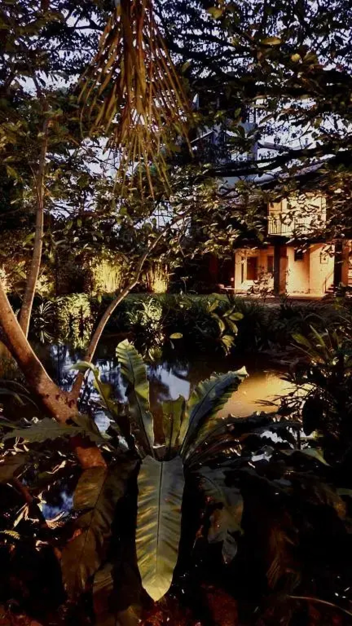 Dunes Unawatuna Hotel