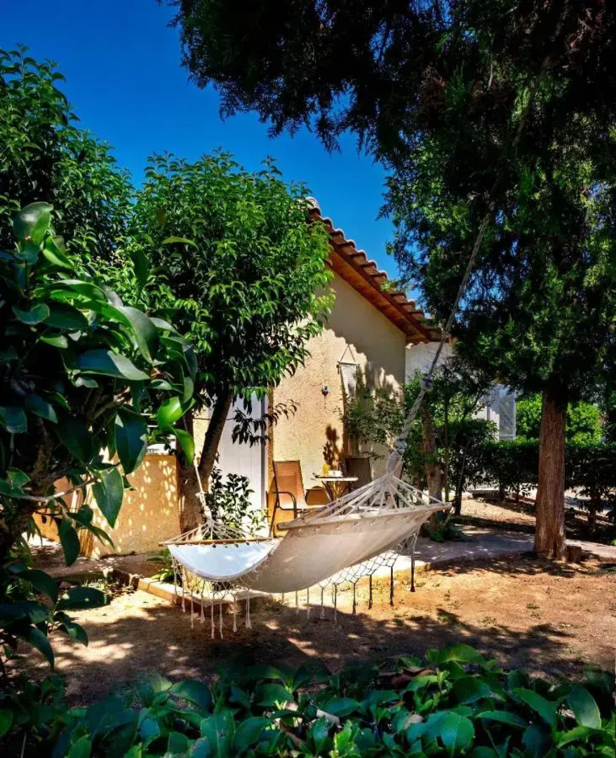 The Grove Seaside Hotel