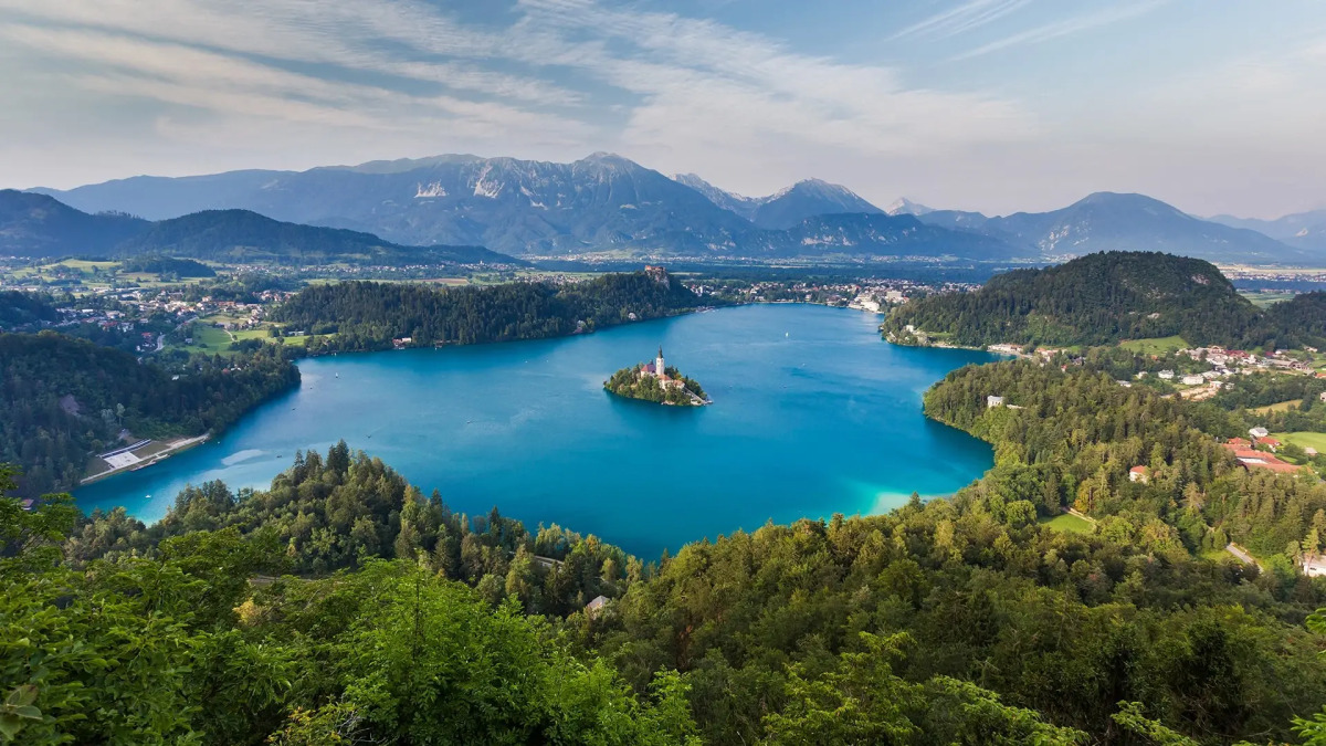 Отель Bled Rose