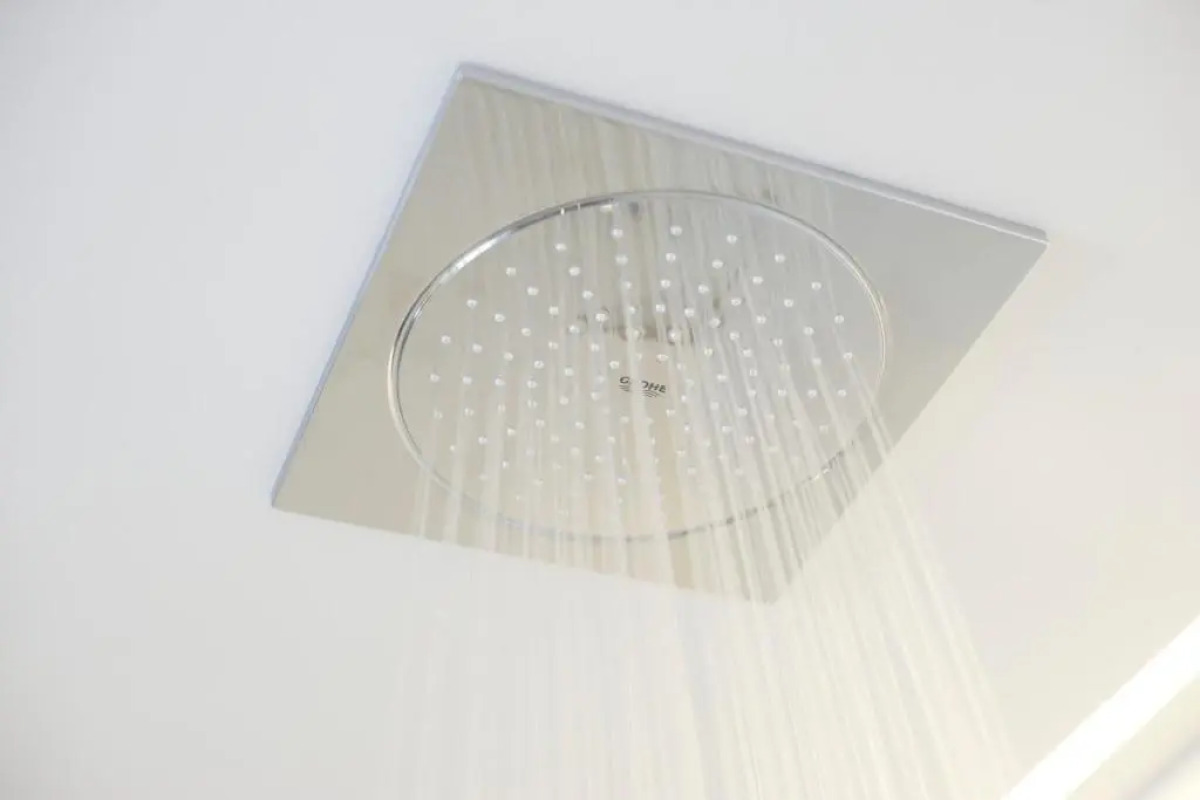 Отель The Hotel Regina