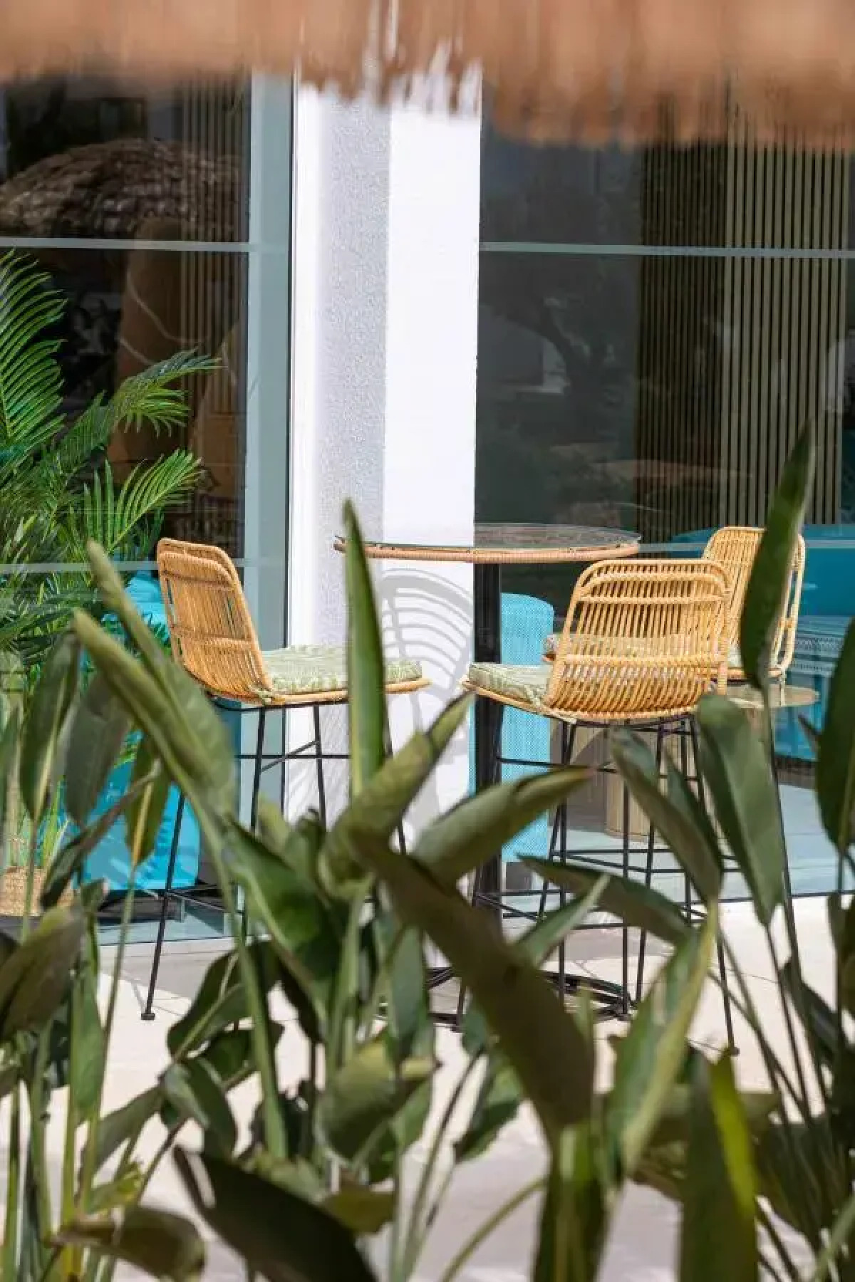 Mar Hotels Rosa del Mar & Spa