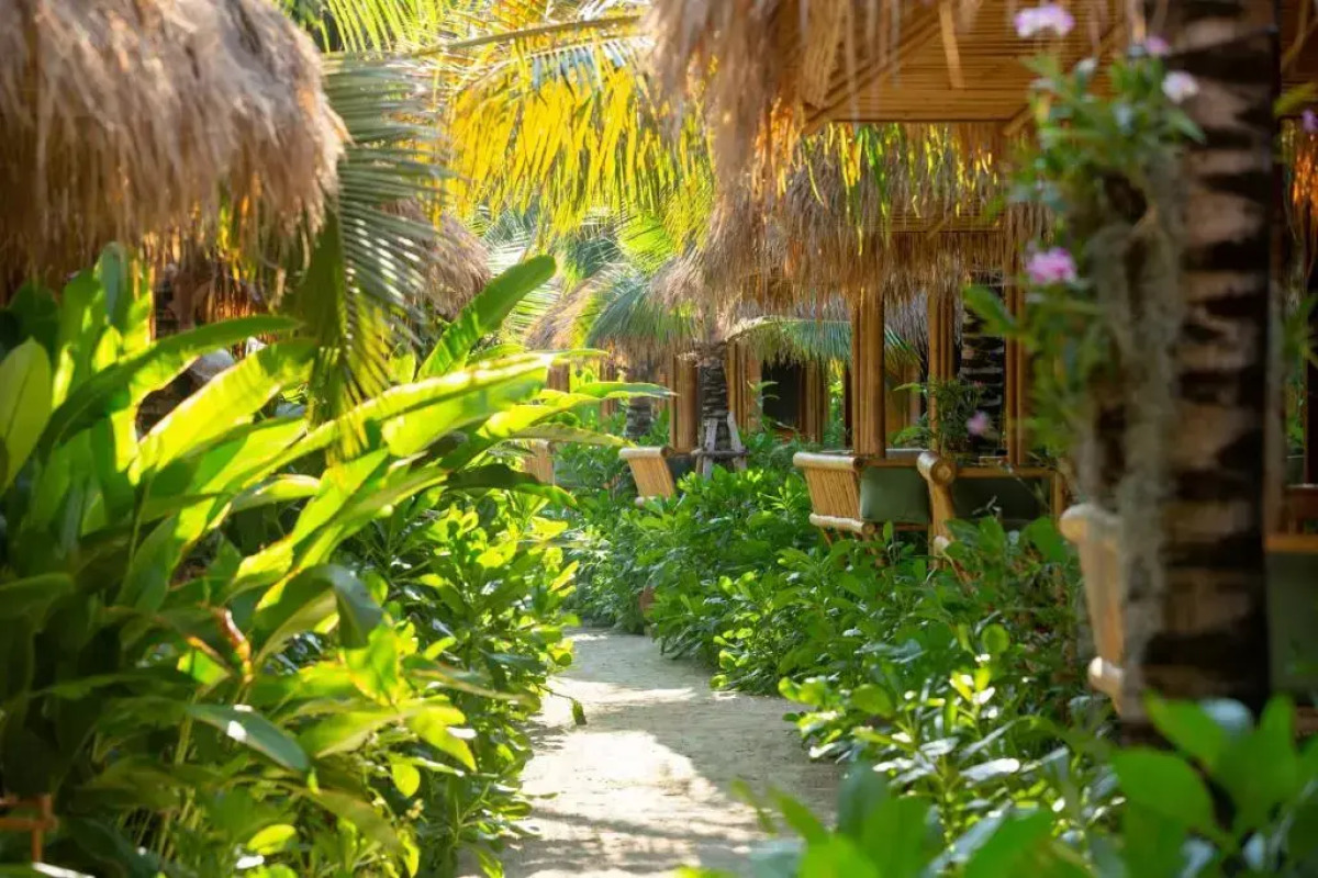 Phi Phi CoCo Beach Resort