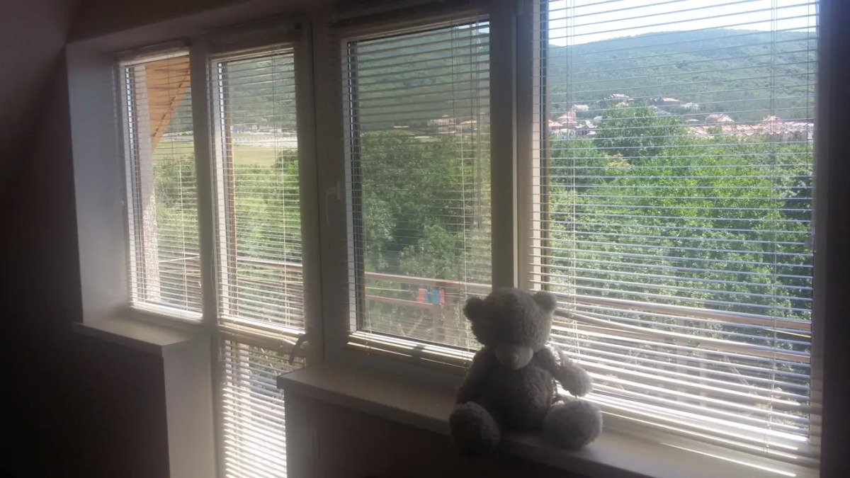 Отель «Лотос»